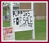 The signs are all over the place -- but exactly what IS a PuppyMill?