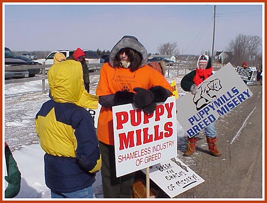 Thorp Dog Auction, 11 Mar 09: 50 protesters, frigid temperatures