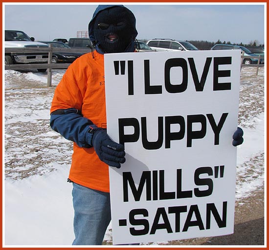 Thorp Dog Auction, 11 Mar 09: 50 protesters, frigid temperatures